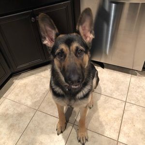 Meet your Posher, Brittney